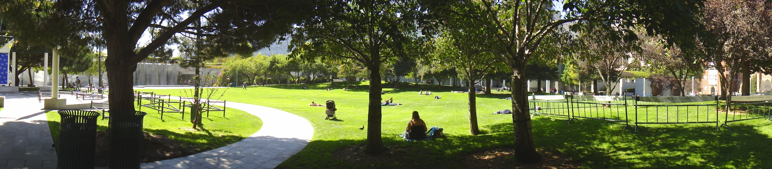 Buena Vista park in San Francisco.